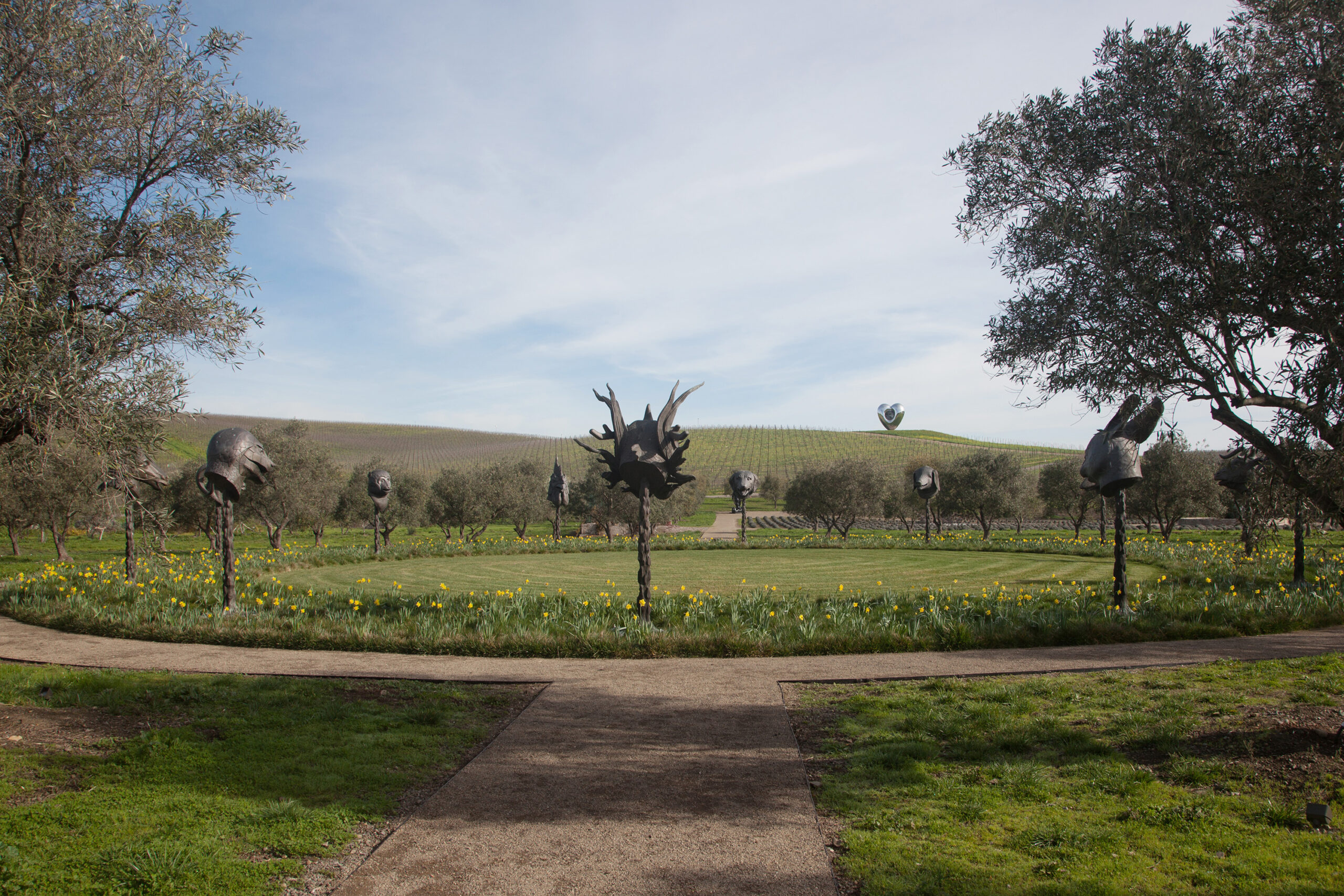 Installation of an outdoor sculpture of bronze Zodiac heads, set within a vineyard in Sonoma.