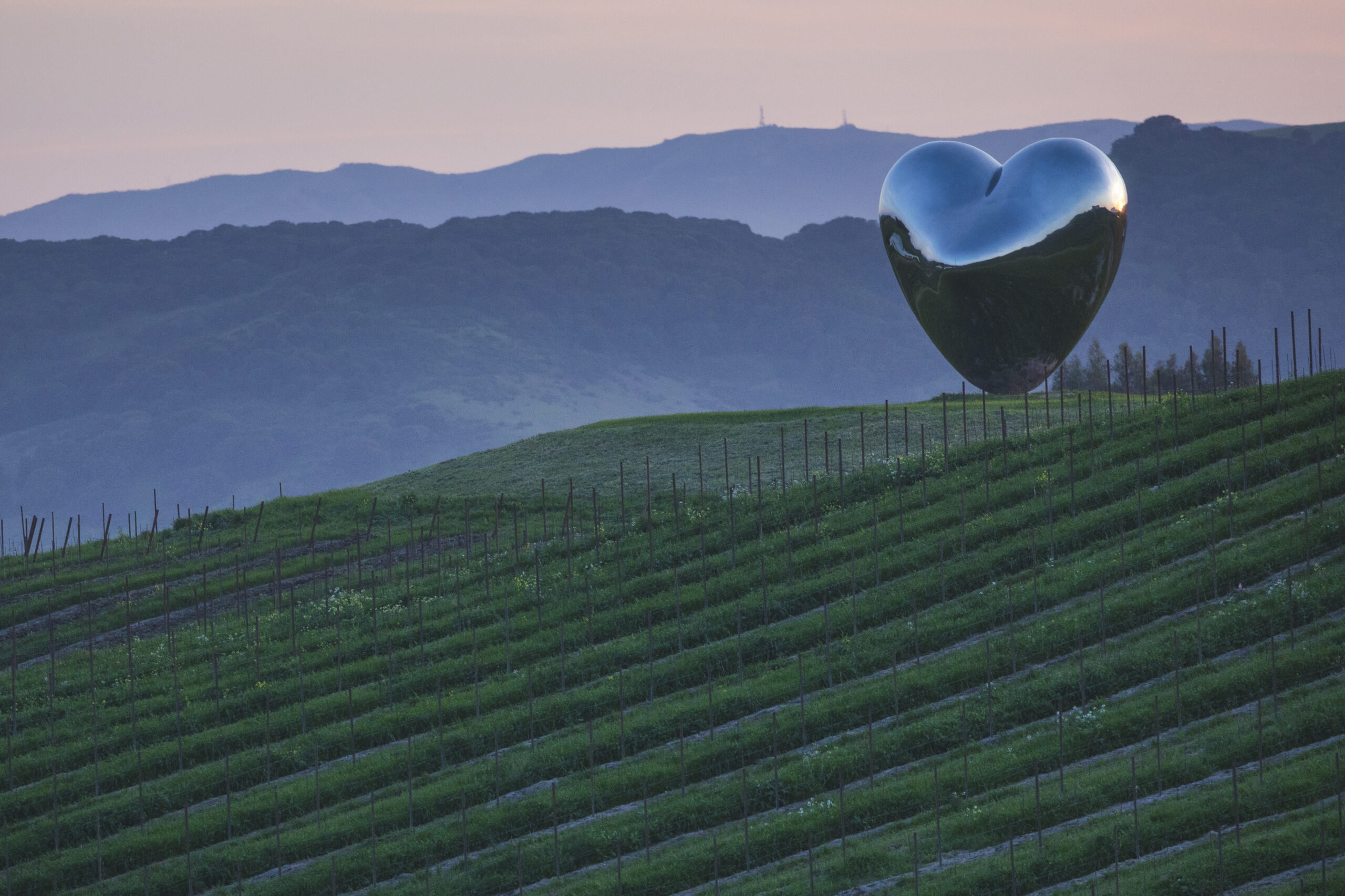 Sculpture of a large metal heart, set among rolling vineyards
